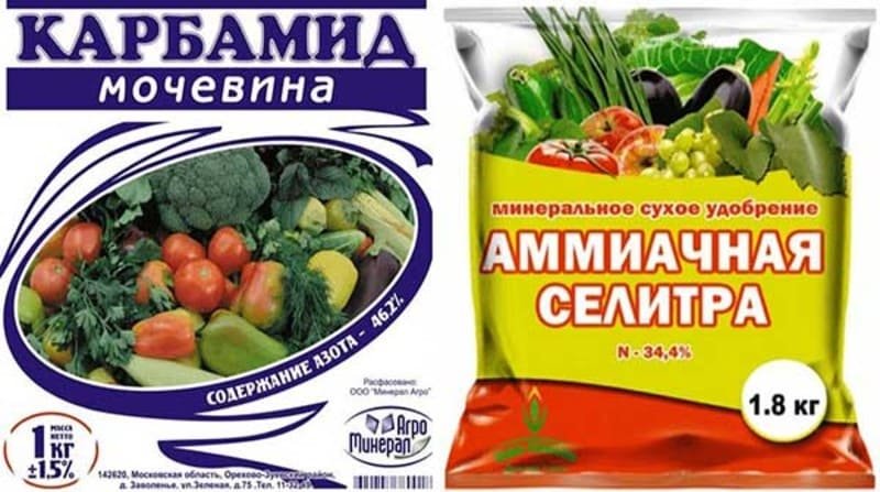 удобрение для роз с азотом
