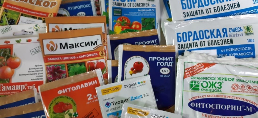препараты для лечения болезней роз