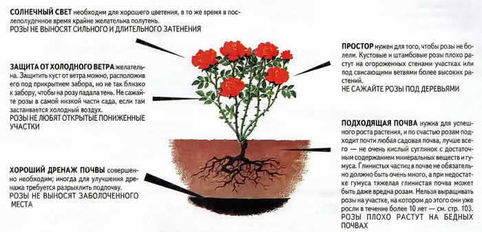 условия посадки